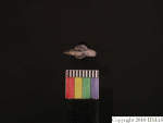 L_V23d3961 J4q135.1 U929 dM la f64